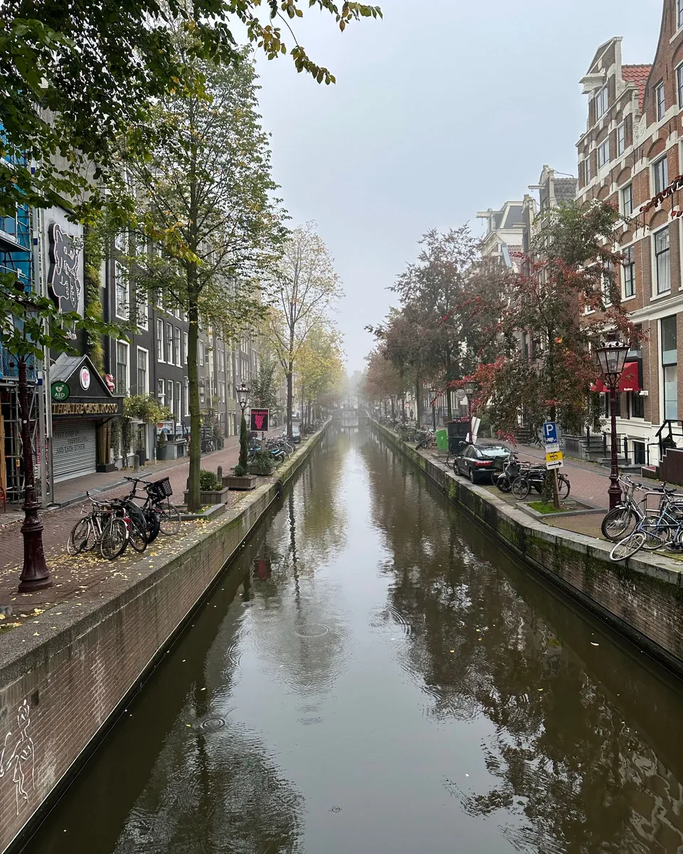 A quiet Amsterdam canal on a misty morning, lined with trees and canal houses